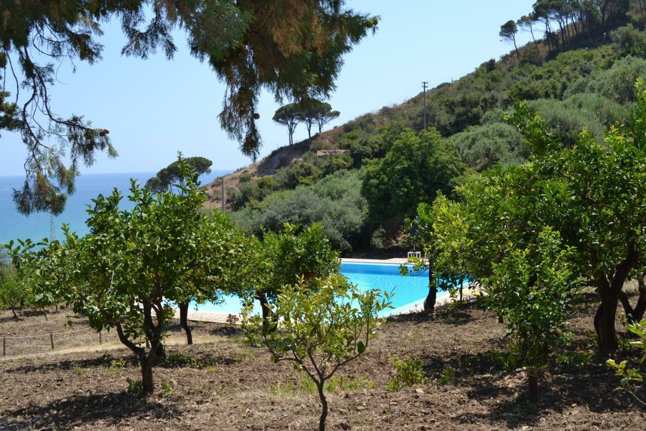 סנט'אמברוג'יו Villa Palamara 1868-Toweronthesea מראה חיצוני תמונה