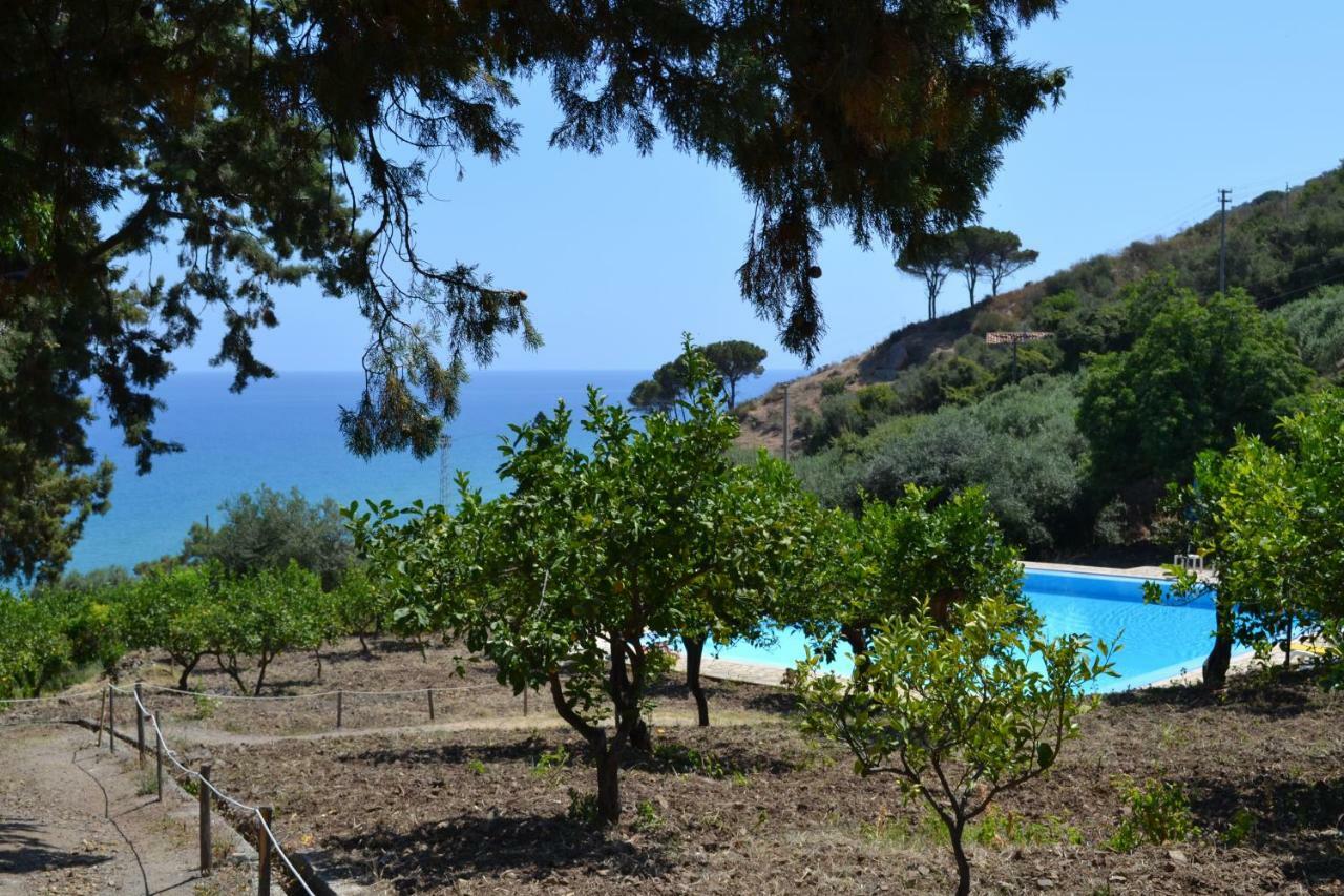 סנט'אמברוג'יו Villa Palamara 1868-Toweronthesea מראה חיצוני תמונה